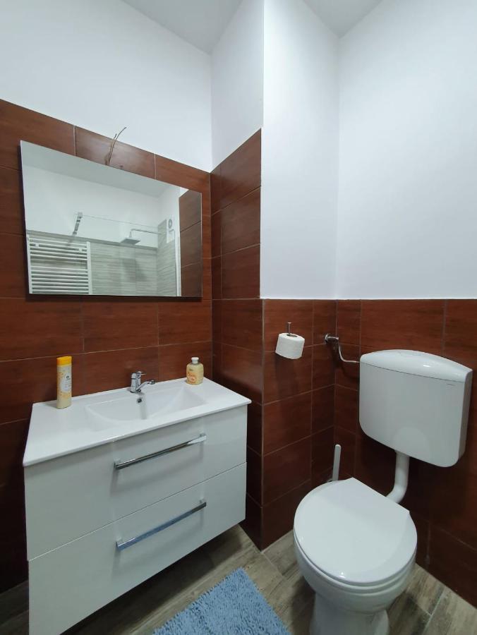 Petrosani Camere De Inchiriat - Hotel Petroshani Srl Extérieur photo