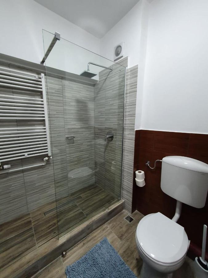 Petrosani Camere De Inchiriat - Hotel Petroshani Srl Extérieur photo