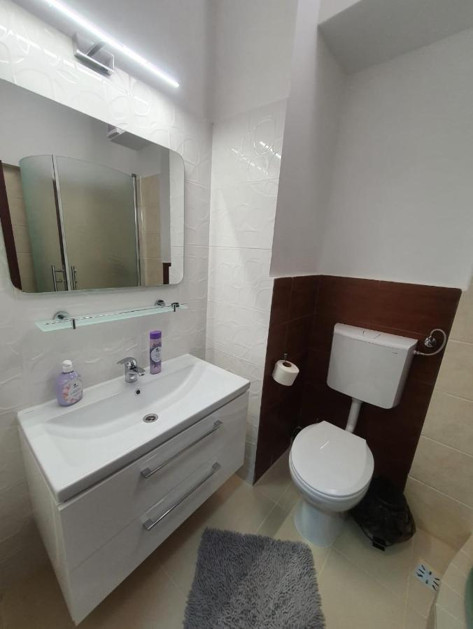 Petrosani Camere De Inchiriat - Hotel Petroshani Srl Extérieur photo